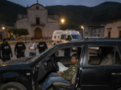 Abatido ‘El Roy’: Detalles del Enfrentamiento en la Sierra de Chihuahua Abatido El Roy
