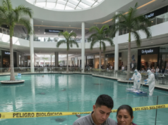 Trágico Fallecimiento en Yucatán: Joven Muere por Ameba ‘Comecerebros’ Ameba comecerebros Yucatán