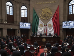 Tragedia en Torreón: Senado Rinde Homenaje a Subdirectora Nedi Edith Nevárez Tras Ataque en Secundaria Senado homenaje subdirectora